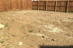 IMG-20200218-WA0040
